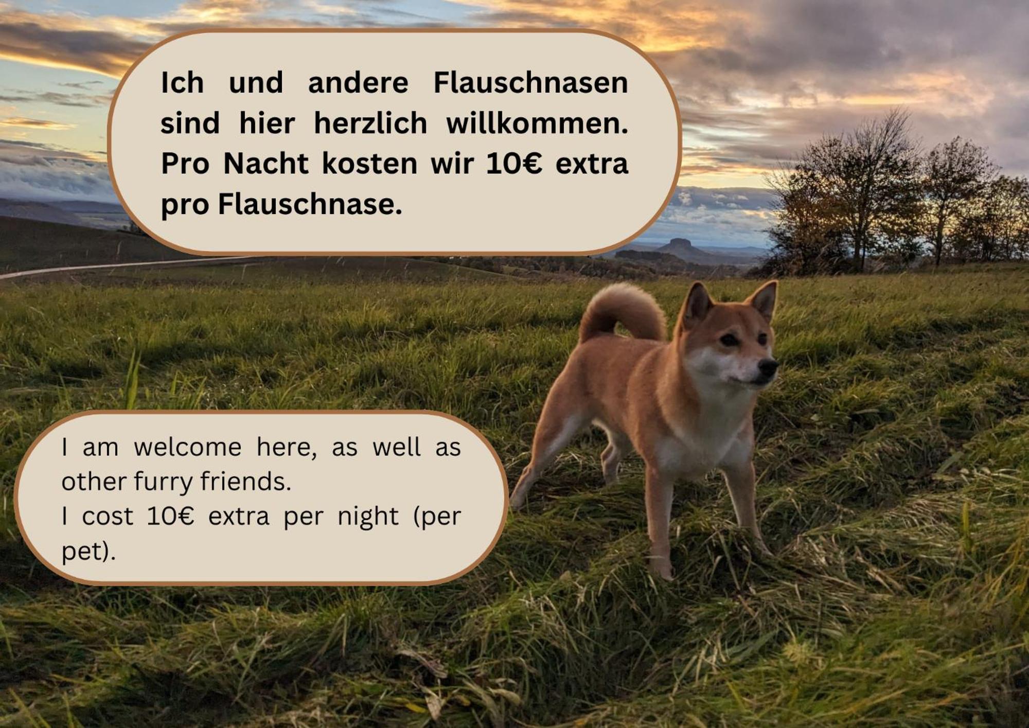 S3 - Urlaubsmagie - Fuer 4P Mitten Im Elbsandsteingebirge Зебниц Екстериор снимка